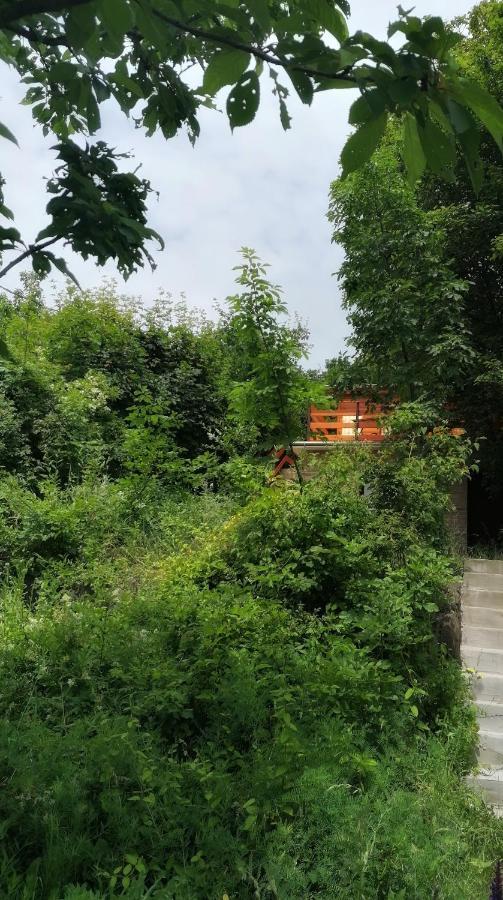 Barkoca Es Szepkilatas Vendeghaz / Cabin Verőcemaros Exteriér fotografie