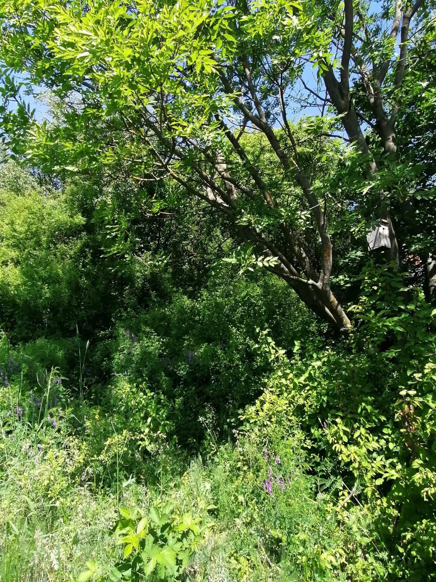 Barkoca Es Szepkilatas Vendeghaz / Cabin Verőcemaros Pokoj fotografie